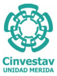 cinvestav-unidad-merida-logo